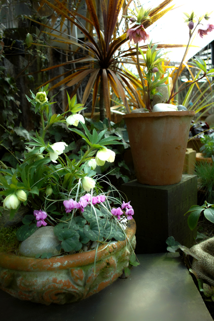 c0227239_1622770.jpg