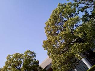 b0199742_195309.jpg