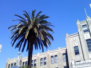 b0199742_19584275.jpg