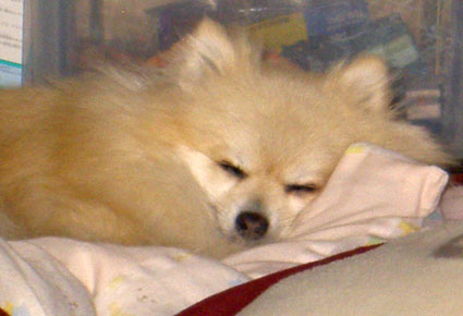 e0221442_2221595.jpg