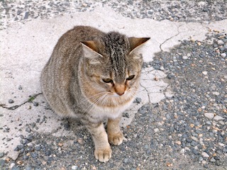f0213347_0321025.jpg