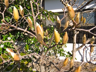 f0213347_23332883.jpg