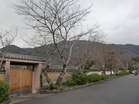 c0206352_840482.jpg