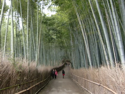 c0206352_8432333.jpg