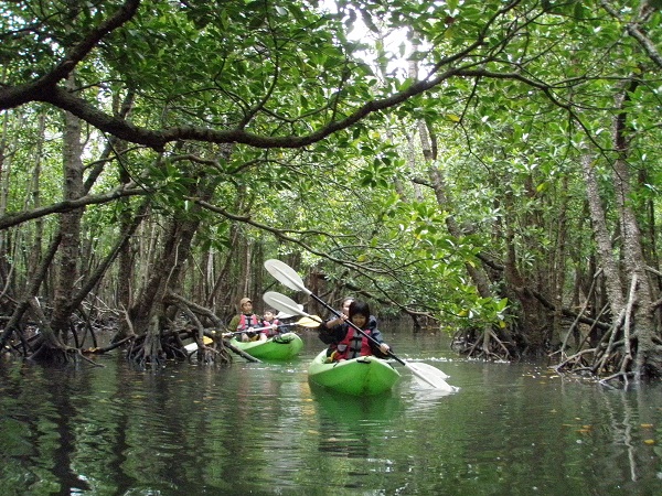 e0134752_1829278.jpg