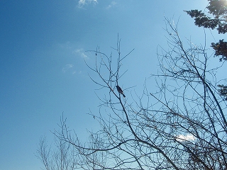 e0004756_21173231.jpg