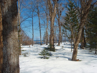 e0004756_21214755.jpg