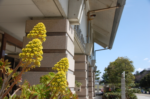 c0108460_20151774.jpg
