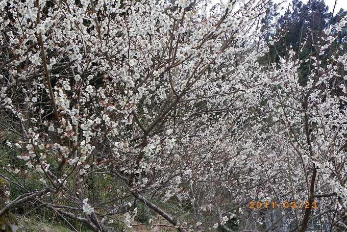 f0016066_14272054.jpg