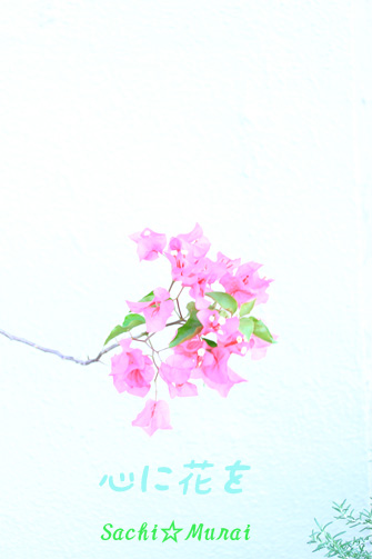 c0073387_21302152.jpg