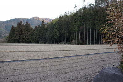 d0160488_911583.jpg