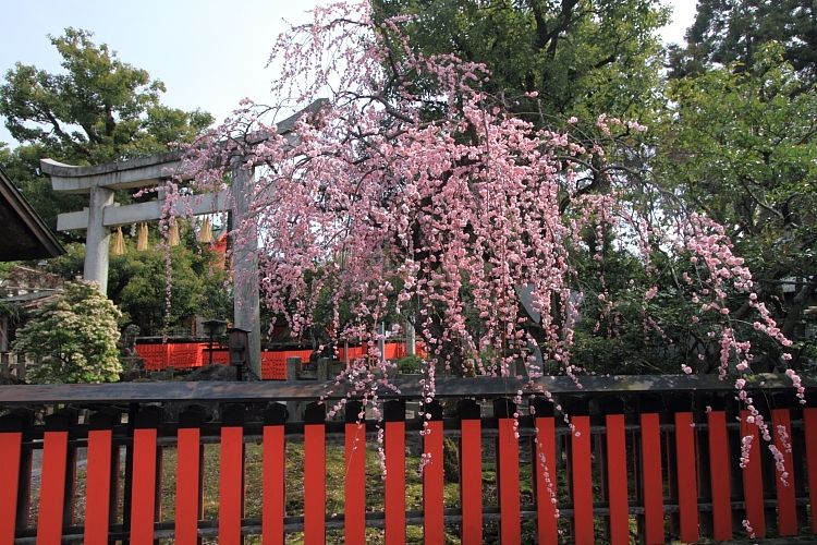 e0051888_21173177.jpg