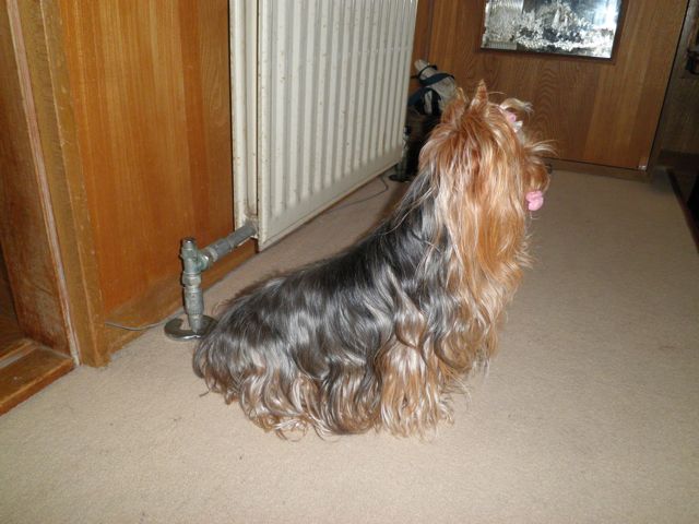 f0130894_2172857.jpg