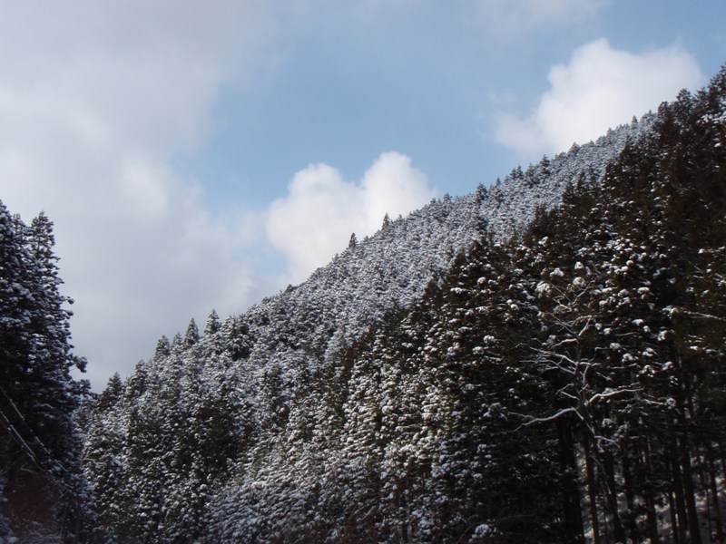 b0039898_10161647.jpg