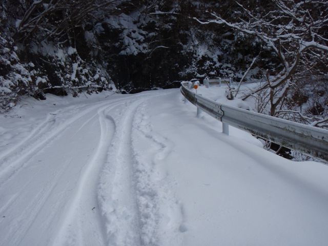 b0039898_10213780.jpg