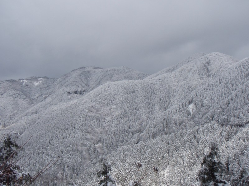 b0039898_10224699.jpg