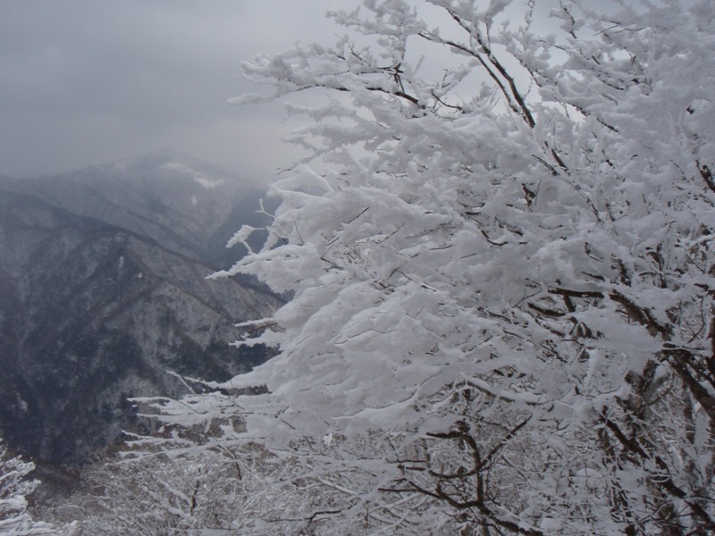 b0039898_1022936.jpg