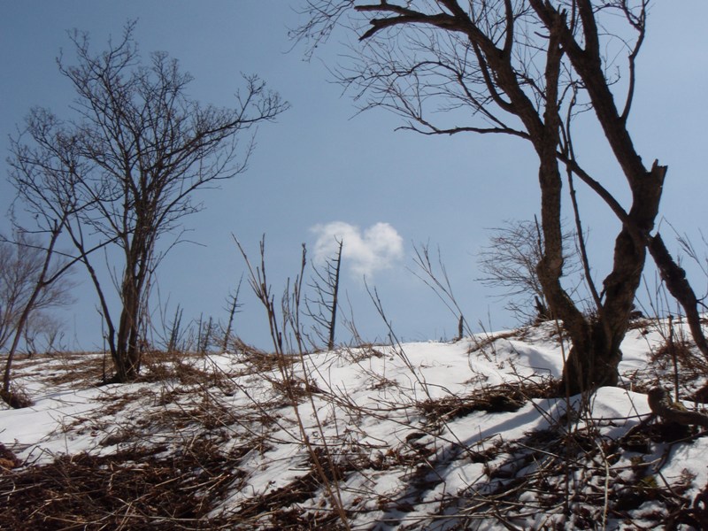 b0039898_15483173.jpg