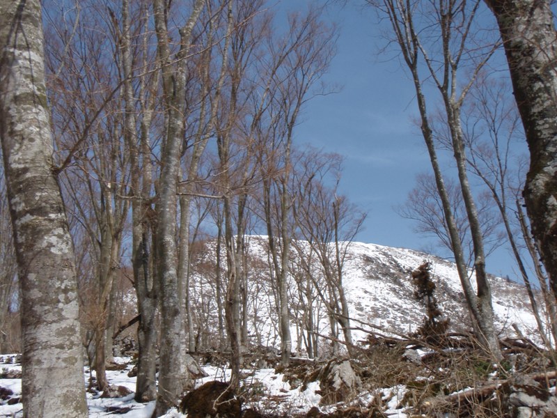 b0039898_15495737.jpg
