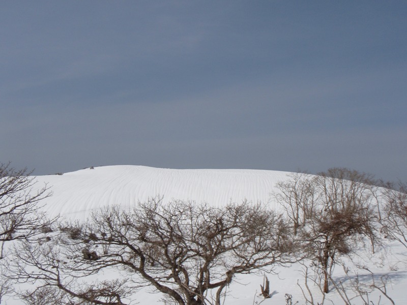 b0039898_15512242.jpg