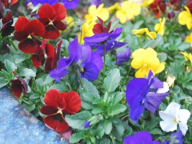 e0025300_17202339.jpg