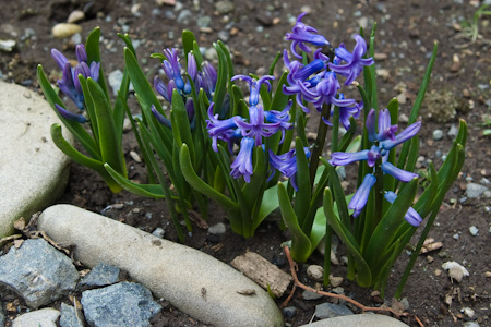 f0239100_13165524.jpg