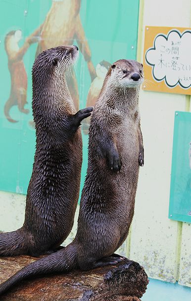 c0155902_21182440.jpg