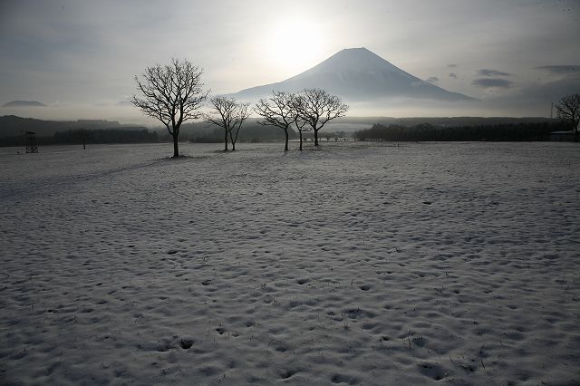 a0188405_1746457.jpg