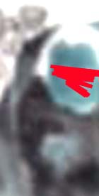 e0103408_12575492.jpg