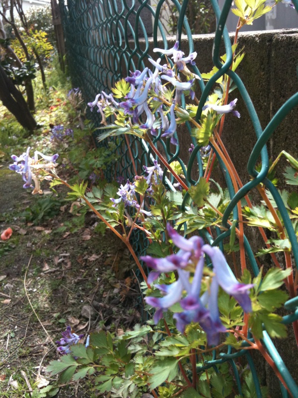 c0116312_10461738.jpg