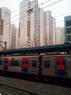 c0046316_9101039.jpg