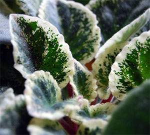 e0168016_12524819.jpg