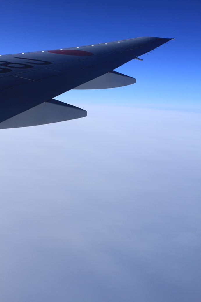 b0146723_1311953.jpg