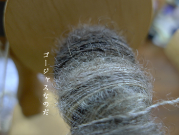 d0042827_1411518.jpg