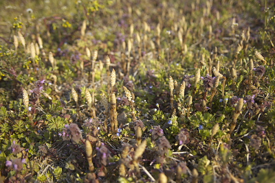 e0089532_2161338.jpg