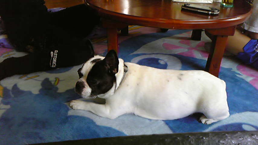 e0008833_1311227.jpg