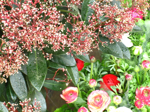 b0167334_22411296.jpg