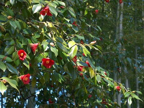 c0057946_2253685.jpg