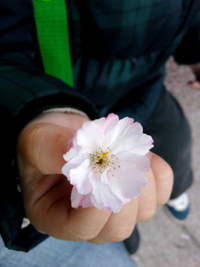 b0117348_3393766.jpg