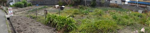 c0108460_16243259.jpg