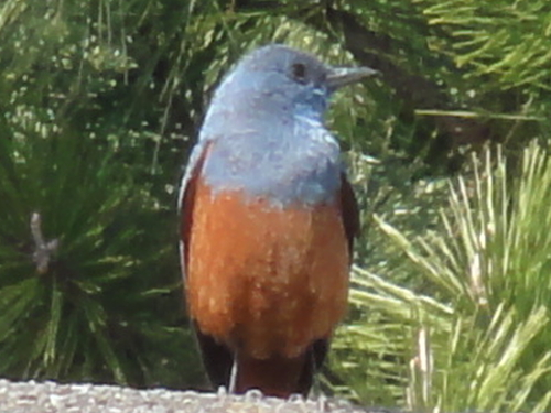c0108460_16263673.jpg