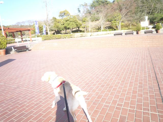 f0177261_871742.jpg