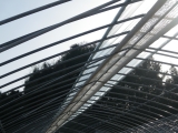 f0055264_1305159.jpg