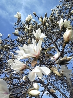 f0222164_16102152.jpg