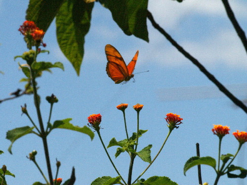 f0208666_1412266.jpg