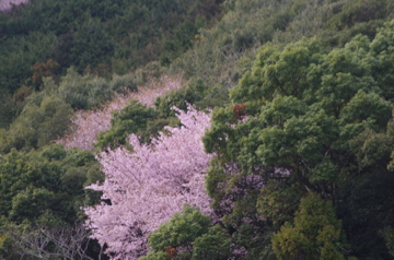 f0054677_881085.jpg