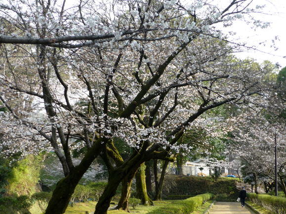 c0125283_18551385.jpg