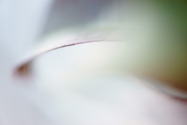 c0203584_235138100.jpg