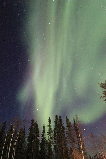 f0238184_20371430.jpg
