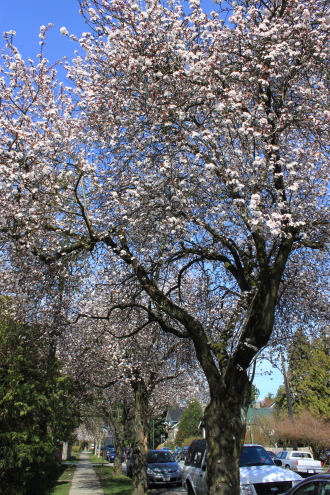d0129786_1412271.jpg